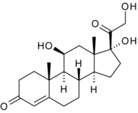 Représentation moléculaire du Cortisol